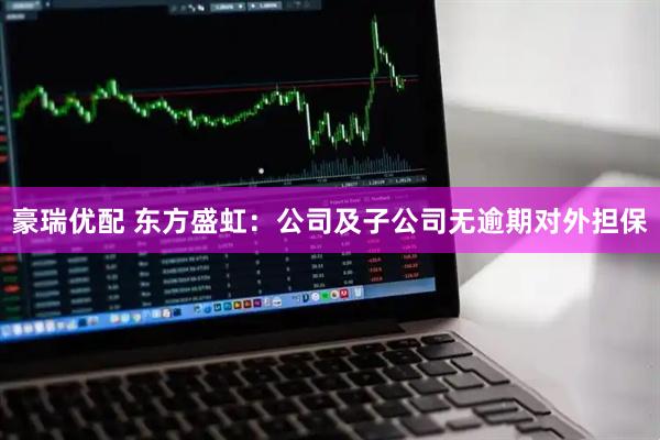 豪瑞优配 东方盛虹：公司及子公司无逾期对外担保
