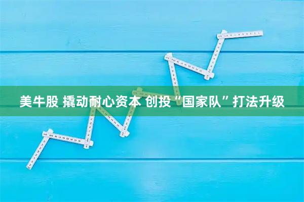 美牛股 撬动耐心资本 创投“国家队”打法升级
