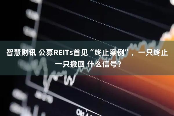 智慧财讯 公募REITs首见“终止案例”，一只终止 一只撤回 什么信号？