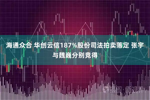 海通众合 华创云信187%股份司法拍卖落定 张宇与魏巍分别竞得